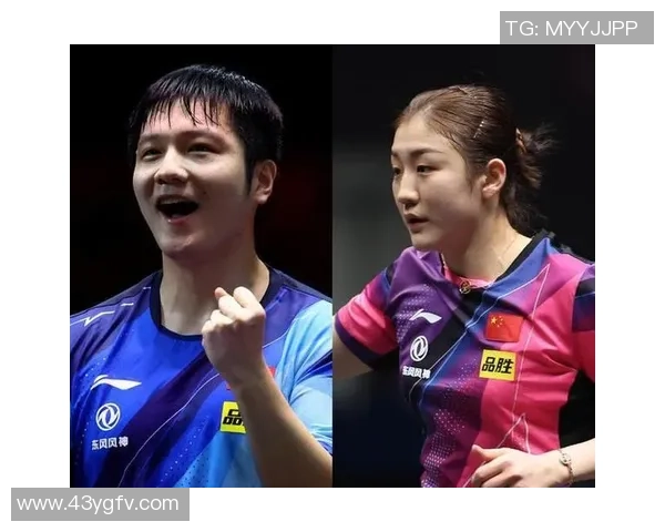 樊振东、陈梦动身全运会